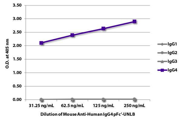 Abbildung: Maus IgG anti-Human IgG4 (pFc)-unkonj., MinX keine