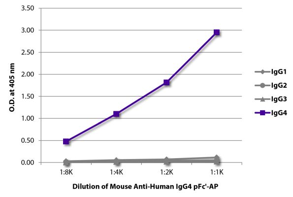 Abbildung: Maus IgG anti-Human IgG4 (pFc)-Alk. Phos., MinX keine