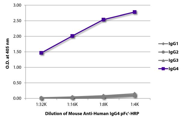 Abbildung: Maus IgG anti-Human IgG4 (pFc)-HRPO, MinX keine