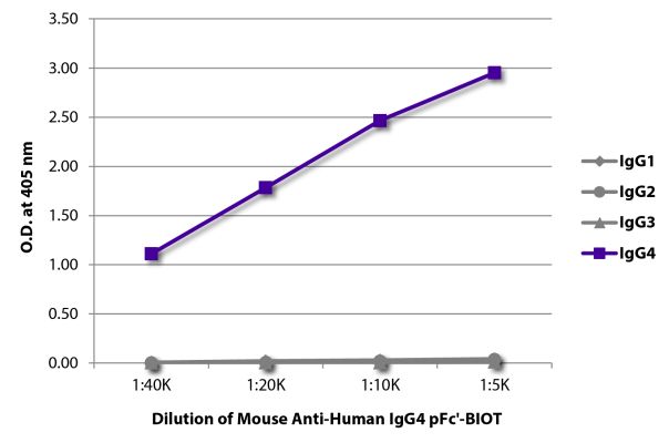 Abbildung: Maus IgG anti-Human IgG4 (pFc)-Biotin, MinX keine