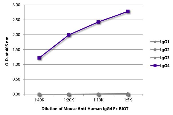Image: Mouse IgG anti-Human IgG4 (Fc)-Biotin, MinX none