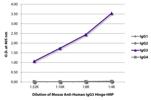 Abbildung: Maus IgG anti-Human IgG3 (hinge)-HRPO, MinX keine