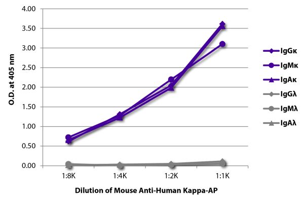 Abbildung: Maus IgG anti-Human Kappa (leichte Kette)-Alk. Phos., MinX keine
