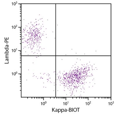 Abbildung: Maus IgG anti-Human Kappa (leichte Kette)-Biotin, MinX keine