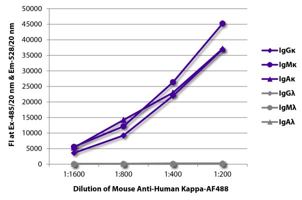 Image: Mouse IgG anti-Human Kappa light chain-Alexa Fluor 488, MinX none