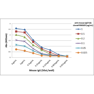 Ziege IgG anti-Maus IgG (F(ab')2) (RMG05)-Biotin, MinX Hu,Rt,Rb