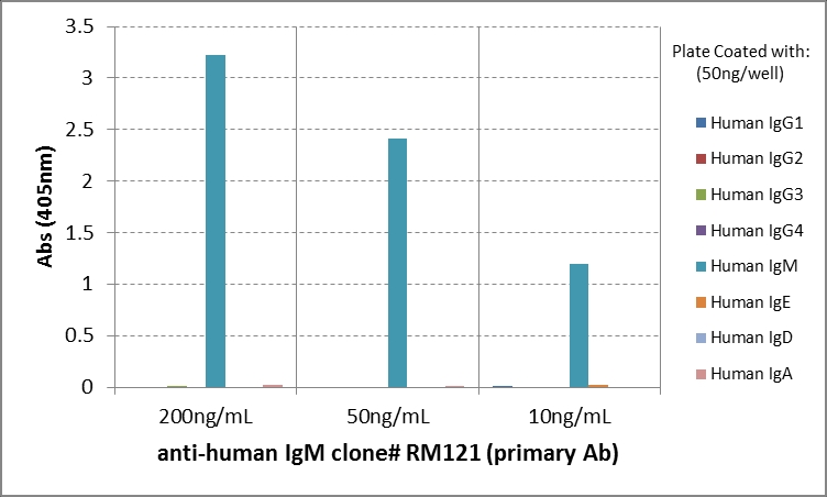 Antikörper Kaninchen IgG anti-Human IgM (μ) (RM121)-Biotin, MinX Hu