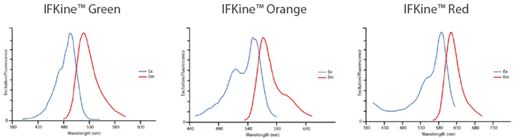 IFKine fluorophores excitation