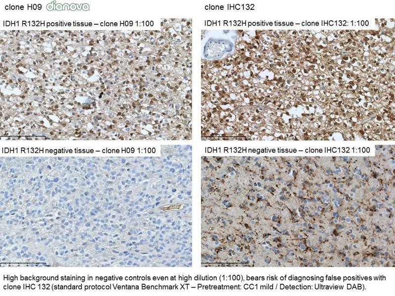 Clone H09 vs. Clone IHC132 on FFPE-tissue