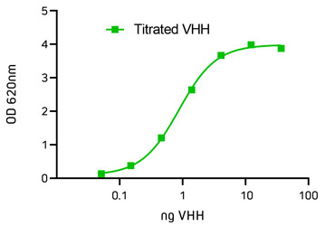 VHH-expression detected by ELISA